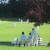 Cricket on an island: Glasgow Accies playing Bute