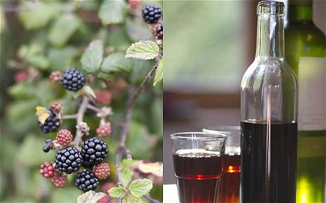 blackberries-whisky